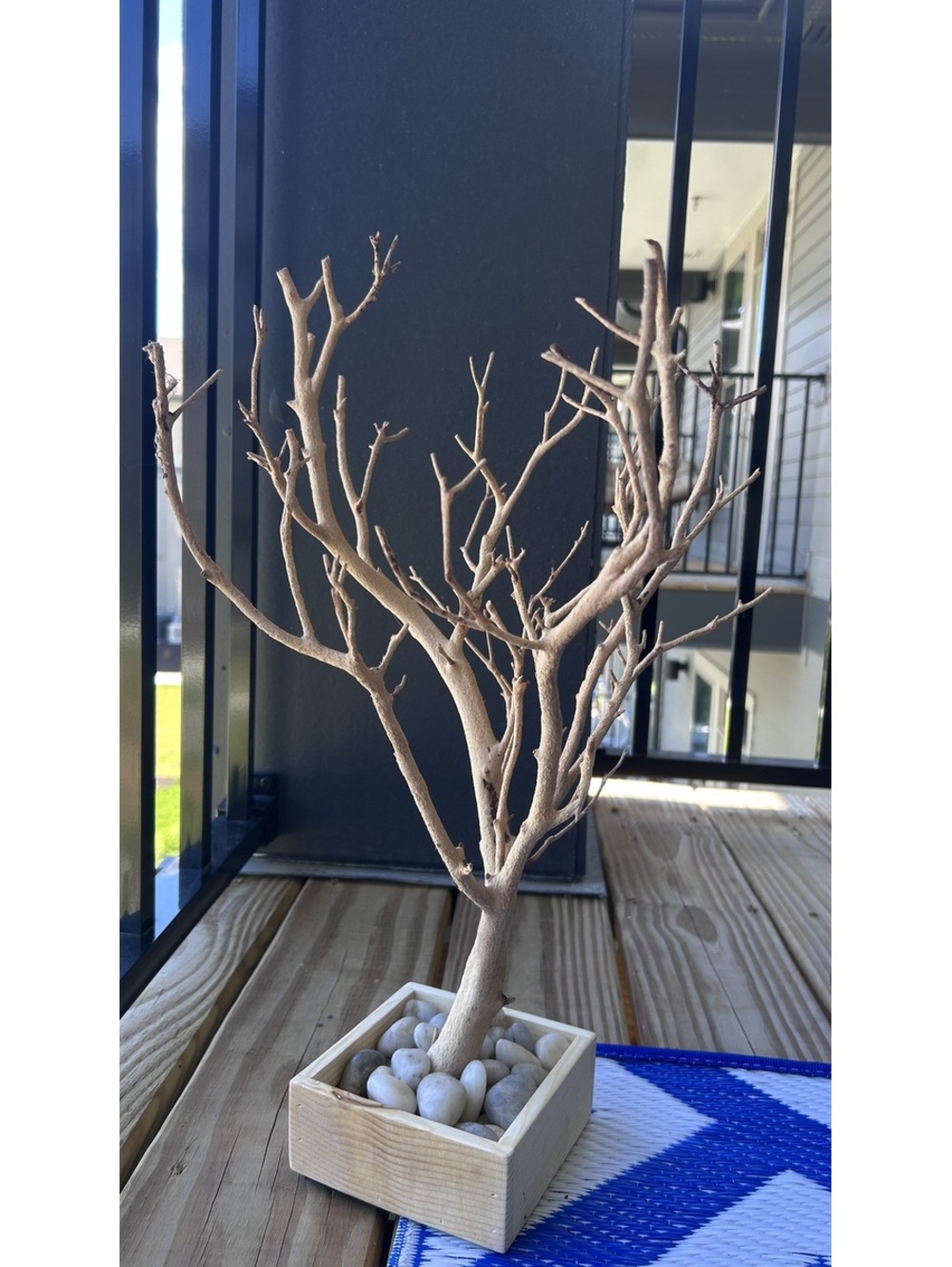 Large Decorative Minimalist Manzanita Branch Tree with Pebble Base - Picture 2 of 11